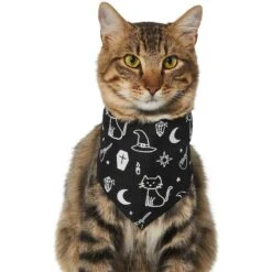 Frisco Glow In The Dark Mystical Print Dog & Cat Bandana 13 Frisco Glow In The Dark Mystical Print Dog & Cat Bandana -Blue Buffalo Shop 261218 PT2. AC SS1800 V1633086982