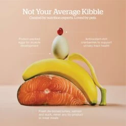 Now Fresh Grain-Free Adult Formula Dry Cat Food -Blue Buffalo Shop 261235 PT3. AC SS1800 V1637793717