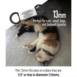 DOG ID Personalized Cat ID Tag -Blue Buffalo Shop 262043 PT2. AC SS1800 V1607481764