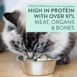 The New Zealand Natural Pet Food Co. Meow Lamb & King Salmon Grain-Free Freeze-Dried Cat Food, 9-oz Bag 9 The New Zealand Natural Pet Food Co. Meow Lamb & King Salmon Grain-Free Freeze-Dried Cat Food, 9-oz Bag -Blue Buffalo Shop 263625 PT3. AC SS1800 V1608269931