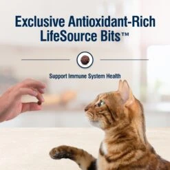 Blue Buffalo True Solutions Fab Feline Natural Indoor Cat Formula Adult Dry Cat Food 15 Blue Buffalo True Solutions Fab Feline Natural Indoor Cat Formula Adult Dry Cat Food -Blue Buffalo Shop 264568 PT6. AC SS1800 V1696449380