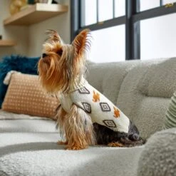 Disney Mickey Mouse Southwest Patterned Dog & Cat Sweater 15 Disney Mickey Mouse Southwest Patterned Dog & Cat Sweater -Blue Buffalo Shop 264577 PT8. AC SS1800 V1646178494