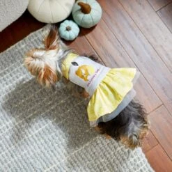 Disney Belle "Once Upon A Time" Dog & Cat Sweatshirt Dress -Blue Buffalo Shop 264600 PT8. AC SS1800 V1629488670