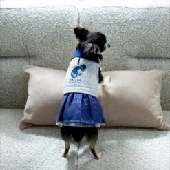 Disney Cinderella "Dreams Come True" Dog & Cat Sweatshirt Dress 19 Disney Cinderella "Dreams Come True" Dog & Cat Sweatshirt Dress -Blue Buffalo Shop 264640 PT8. AC SS1800 V1629487173