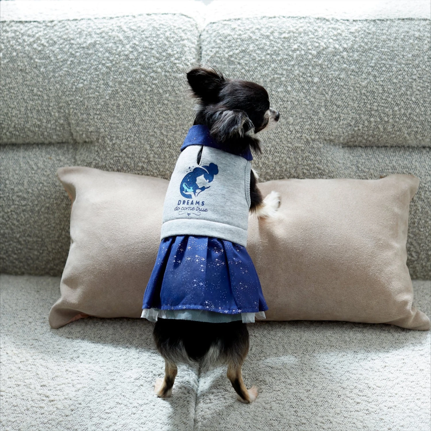 Disney Cinderella "Dreams Come True" Dog & Cat Sweatshirt Dress 11 Disney Cinderella "Dreams Come True" Dog & Cat Sweatshirt Dress - Image 9