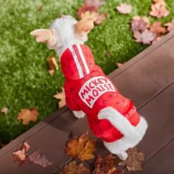 Disney Mickey Mouse Graphic Dog & Cat Hoodie 16 Disney Mickey Mouse Graphic Dog & Cat Hoodie -Blue Buffalo Shop 264647 PT6. AC SS1800 V1637645537