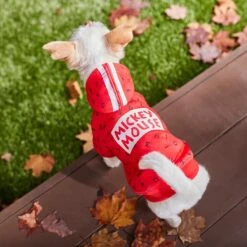 Disney Mickey Mouse Graphic Dog & Cat Hoodie 17 Disney Mickey Mouse Graphic Dog & Cat Hoodie -Blue Buffalo Shop 264647 PT8. AC SS1800 V1629488722