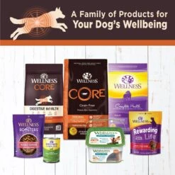 Wellness CORE Digestive Health Chicken Recipe Grain-Free Wet Dog Food 15 Wellness CORE Digestive Health Chicken Recipe Grain-Free Wet Dog Food -Blue Buffalo Shop 264882 PT4. AC SS1800 V1623197547