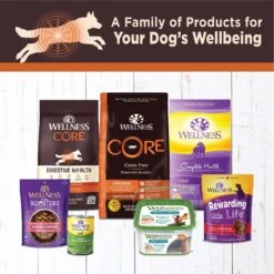 Wellness CORE Digestive Health Chicken & Beef Pate Variety Pack Grain-Free Wet Dog Food -Blue Buffalo Shop 264888 PT4. AC SS1800 V1623201448