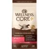 Wellness CORE Digestive Health Wholesome Grains Salmon & Rice Recipe Dry Cat Food 2 Wellness CORE Digestive Health Wholesome Grains Salmon & Rice Recipe Dry Cat Food -Blue Buffalo Shop 264893 MAIN. AC SS1800 V1608661990