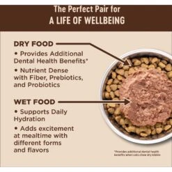 Wellness CORE Digestive Health Wholesome Grains Salmon & Rice Recipe Dry Cat Food 13 Wellness CORE Digestive Health Wholesome Grains Salmon & Rice Recipe Dry Cat Food -Blue Buffalo Shop 264893 PT2. AC SS1800 V1608687158