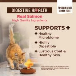 Wellness CORE Digestive Health Wholesome Grains Salmon & Rice Recipe Dry Cat Food 14 Wellness CORE Digestive Health Wholesome Grains Salmon & Rice Recipe Dry Cat Food -Blue Buffalo Shop 264893 PT3. AC SS1800 V1608690466