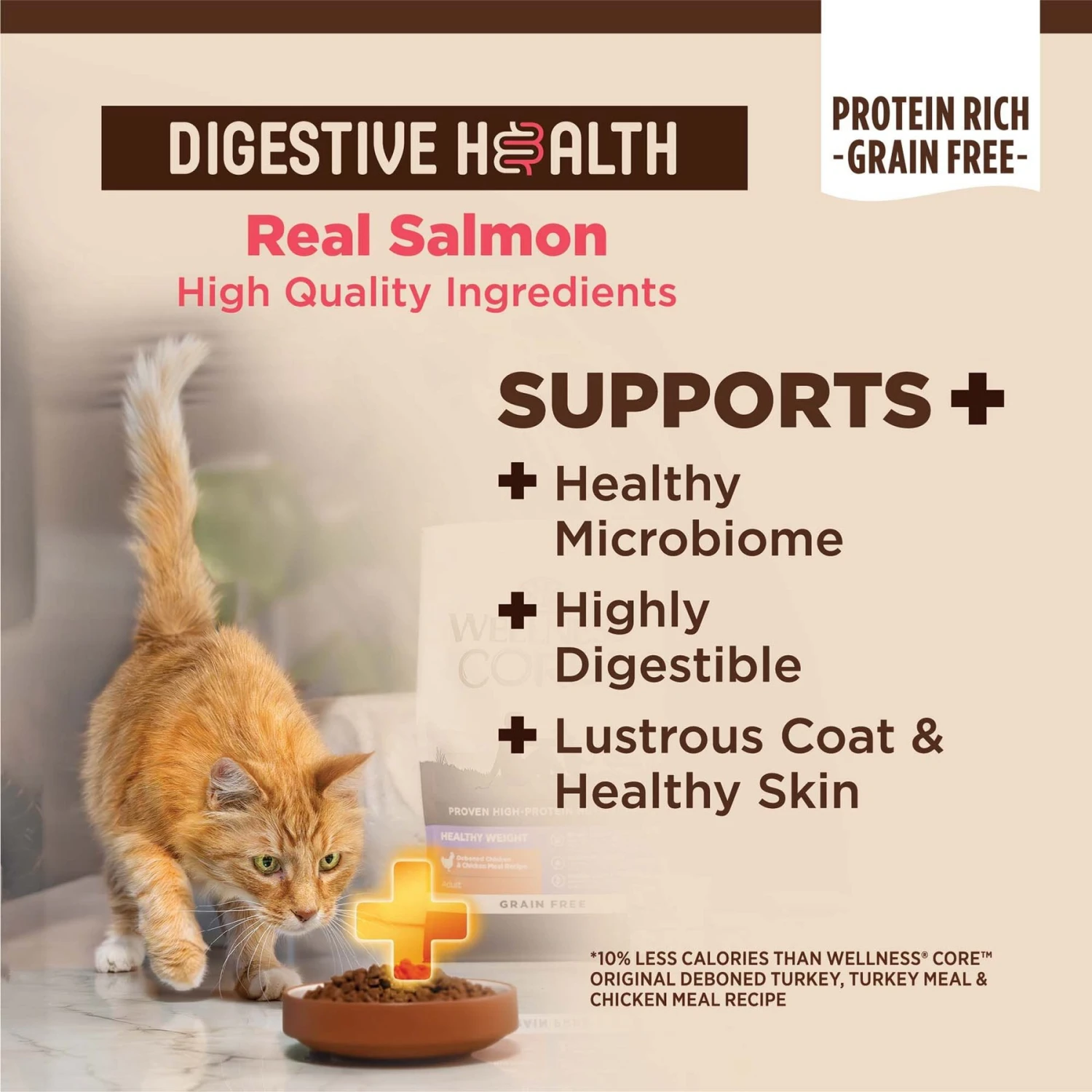 Wellness CORE Digestive Health Wholesome Grains Salmon & Rice Recipe Dry Cat Food 6 Wellness CORE Digestive Health Wholesome Grains Salmon & Rice Recipe Dry Cat Food - Image 4