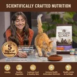 Wellness CORE Digestive Health Wholesome Grains Salmon & Rice Recipe Dry Cat Food 15 Wellness CORE Digestive Health Wholesome Grains Salmon & Rice Recipe Dry Cat Food -Blue Buffalo Shop 264893 PT4. AC SS1800 V1608689249