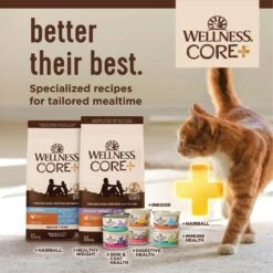 Wellness CORE Digestive Health Wholesome Grains Salmon & Rice Recipe Dry Cat Food 17 Wellness CORE Digestive Health Wholesome Grains Salmon & Rice Recipe Dry Cat Food -Blue Buffalo Shop 264893 PT6. AC SS1800 V1608676655