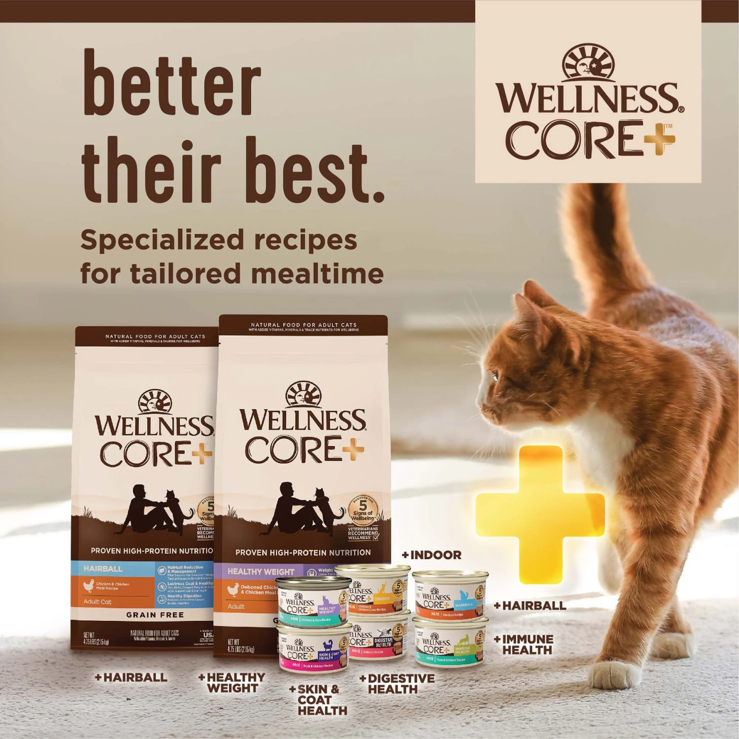 Wellness CORE Digestive Health Wholesome Grains Salmon & Rice Recipe Dry Cat Food 9 Wellness CORE Digestive Health Wholesome Grains Salmon & Rice Recipe Dry Cat Food - Image 7