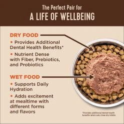 Wellness CORE Digestive Health Chicken Pate Recipe Grain-Free Wet Cat Food, 3-oz, Case Of 12 -Blue Buffalo Shop 264896 PT2. AC SS1800 V1608682648