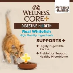 Wellness CORE Digestive Health Whitefish Pate Recipe Grain-Free Wet Cat Food, 3-oz, Case Of 12 -Blue Buffalo Shop 264900 PT2. AC SS1800 V1608689844