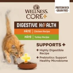 Wellness CORE Digestive Health Chicken & Turkey Pate Variety Pack Grain-Free Wet Cat Food 12 Wellness CORE Digestive Health Chicken & Turkey Pate Variety Pack Grain-Free Wet Cat Food -Blue Buffalo Shop 264904 PT2. AC SS1800 V1608682645