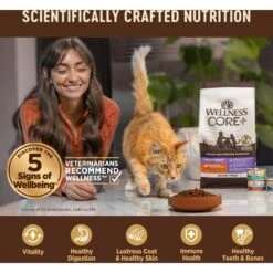 Wellness CORE Digestive Health Chicken & Turkey Pate Variety Pack Grain-Free Wet Cat Food 14 Wellness CORE Digestive Health Chicken & Turkey Pate Variety Pack Grain-Free Wet Cat Food -Blue Buffalo Shop 264904 PT4. AC SS1800 V1608692275