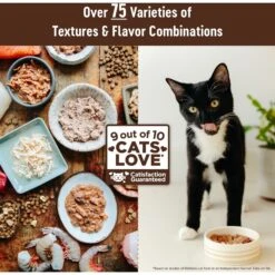 Wellness CORE Digestive Health Chicken & Turkey Pate Variety Pack Grain-Free Wet Cat Food 15 Wellness CORE Digestive Health Chicken & Turkey Pate Variety Pack Grain-Free Wet Cat Food -Blue Buffalo Shop 264904 PT6. AC SS1800 V1640204804