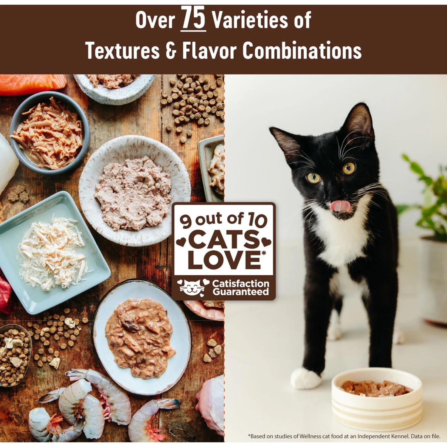 Wellness CORE Digestive Health Chicken & Turkey Pate Variety Pack Grain-Free Wet Cat Food 8 Wellness CORE Digestive Health Chicken & Turkey Pate Variety Pack Grain-Free Wet Cat Food - Image 6