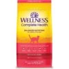 Wellness Complete Health Salmon Adult Dry Cat Food
