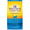 Wellness Complete Health Chicken & Rice Dry Cat Food 2 Wellness Complete Health Chicken & Rice Dry Cat Food -Blue Buffalo Shop 265112 MAIN. AC SS1800 V1636500144