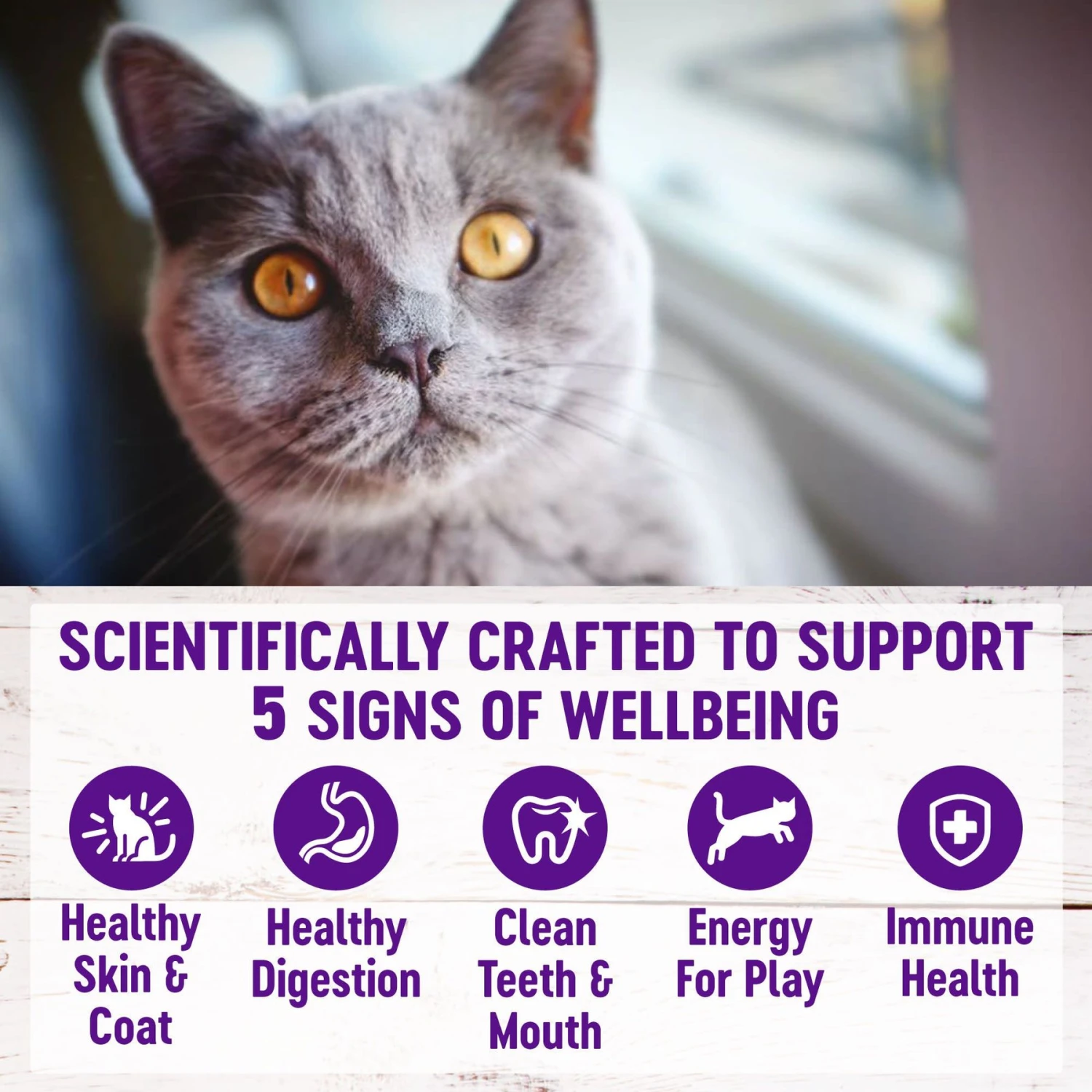 Wellness Natural Hairball Control Chicken Meal & Rice Recipe Dry Cat Food 5 Wellness Natural Hairball Control Chicken Meal & Rice Recipe Dry Cat Food - Image 3