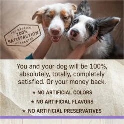 Merrick Healthy Grains Raw-Coated Kibble Puppy Recipe Freeze-Dried Dry Dog Food 17 Merrick Healthy Grains Raw-Coated Kibble Puppy Recipe Freeze-Dried Dry Dog Food -Blue Buffalo Shop 265208 PT7. AC SS1800 V1673561192