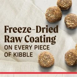 Merrick Healthy Grains Raw-Coated Kibble Real Beef + Brown Rice Recipe Freeze-Dried Dry Dog Food 13 Merrick Healthy Grains Raw-Coated Kibble Real Beef + Brown Rice Recipe Freeze-Dried Dry Dog Food -Blue Buffalo Shop 265212 PT3. AC SS1800 V1673561129