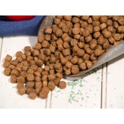 Dr. Gary's Best Breed Holistic Grain-Free Salmon With Fruits & Vegetables Dry Dog Food -Blue Buffalo Shop 265421 PT2. AC SS1800 V1609887776