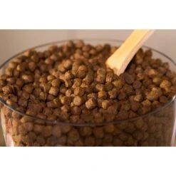 Dr. Gary's Best Breed Holistic Grain-Free Chicken With Fruits & Vegetables Dry Dog Food 10 Dr. Gary's Best Breed Holistic Grain-Free Chicken With Fruits & Vegetables Dry Dog Food -Blue Buffalo Shop 265426 PT3. AC SS1800 V1609887471