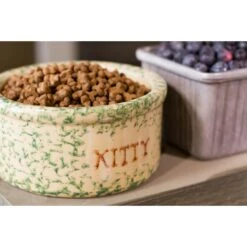 Dr. Gary's Best Breed Holistic Grain-Free All Life Stages Dry Cat Food -Blue Buffalo Shop 265429 PT3. AC SS1800 V1609886266