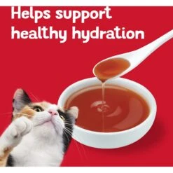 Friskies Lil' Gravies Roast Beef Flavor Cat Food Complement -Blue Buffalo Shop 266198 PT6. AC SS1800 V1695845918