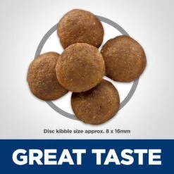 Hill's Science Diet Adult Perfect Digestion Large Breed Chicken Dry Dog Food -Blue Buffalo Shop 266832 PT3. AC SS1800 V1614205600