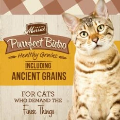 Merrick Purrfect Bistro Healthy Grains Real Chicken + Brown Rice Recipe Adult Dry Cat Food 13 Merrick Purrfect Bistro Healthy Grains Real Chicken + Brown Rice Recipe Adult Dry Cat Food -Blue Buffalo Shop 267430 PT2. AC SS1800 V1632782513
