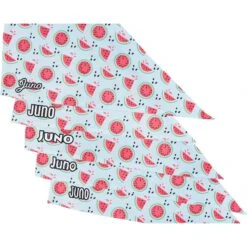Frisco Watermelons Personalized Dog & Cat Bandana -Blue Buffalo Shop 267458 PT4. AC SS1800 V1632428809