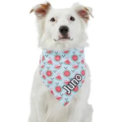 Frisco Watermelons Personalized Dog & Cat Bandana -Blue Buffalo Shop 267458 PT6. AC SS1800 V1632432415