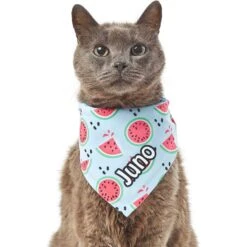 Frisco Watermelons Personalized Dog & Cat Bandana -Blue Buffalo Shop 267458 PT7. AC SS1800 V1632432684