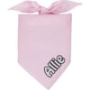 Frisco Solid Pastel Personalized Dog & Cat Bandana -Blue Buffalo Shop 267514 MAIN. AC SS1800 V1701982979
