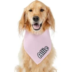 Frisco Solid Pastel Personalized Dog & Cat Bandana 17 Frisco Solid Pastel Personalized Dog & Cat Bandana -Blue Buffalo Shop 267514 PT6. AC SS1800 V1632417387