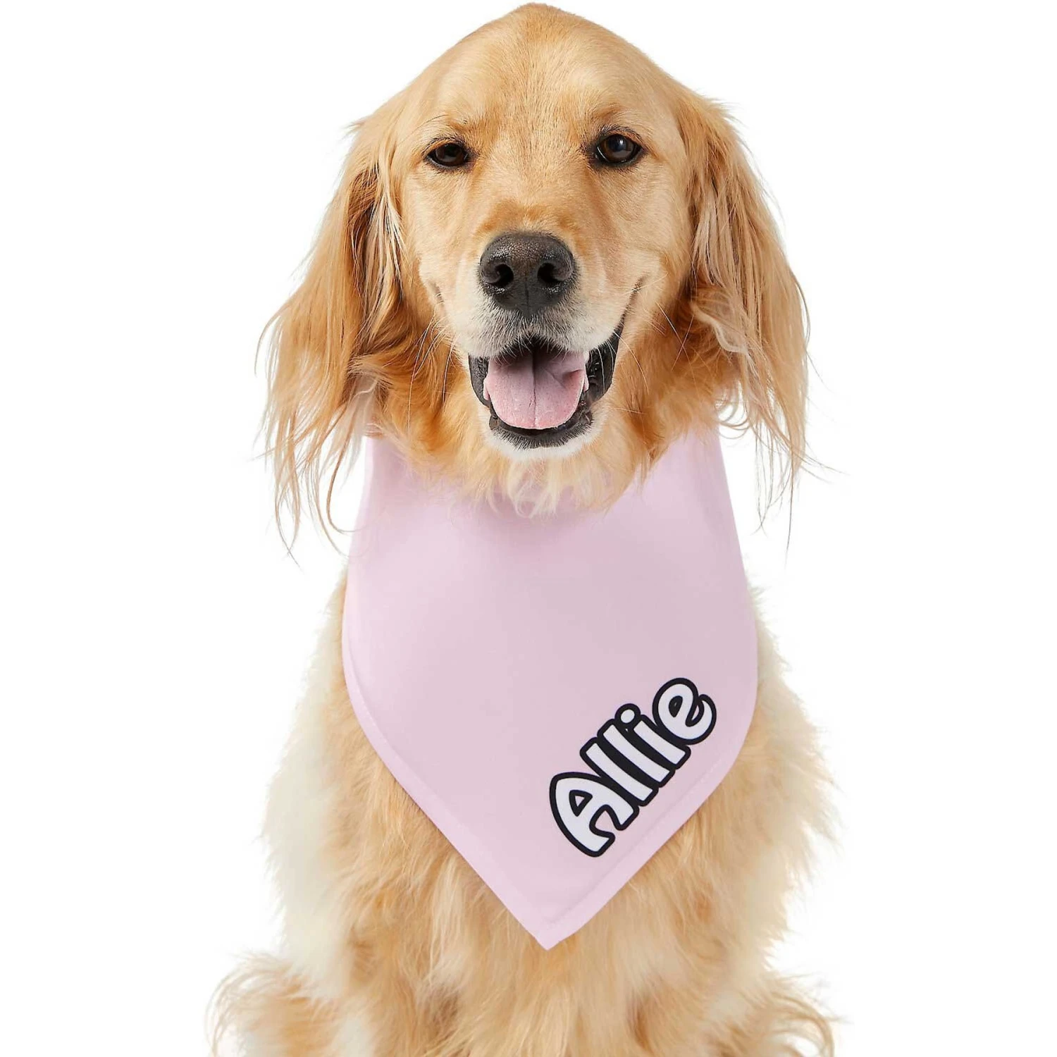 Frisco Solid Pastel Personalized Dog & Cat Bandana 9 Frisco Solid Pastel Personalized Dog & Cat Bandana - Image 7