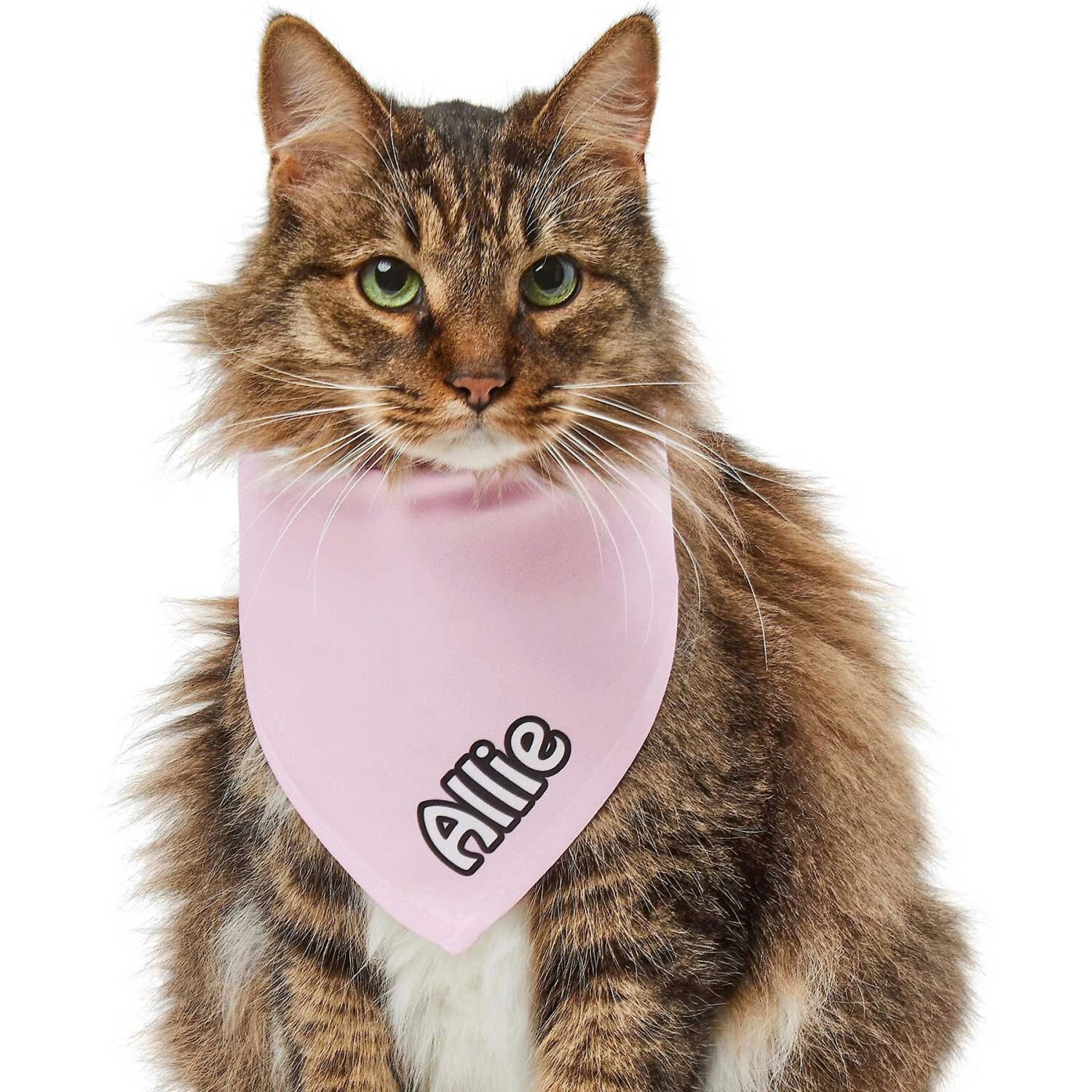 Frisco Solid Pastel Personalized Dog & Cat Bandana 10 Frisco Solid Pastel Personalized Dog & Cat Bandana - Image 8