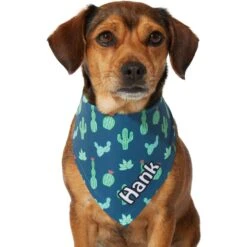 Frisco Cactus Personalized Dog & Cat Bandana -Blue Buffalo Shop 267551 PT7. AC SS1800 V1623164614