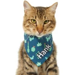 Frisco Cactus Personalized Dog & Cat Bandana -Blue Buffalo Shop 267551 PT8. AC SS1800 V1623164657