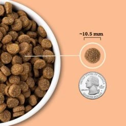 ACANA Wholesome Grains Puppy Recipe Dry Dog Food -Blue Buffalo Shop 267890 PT5. AC SS1800 V1696266695