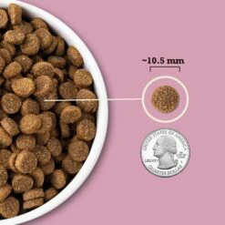 ACANA Wholesome Grains Small Breed Recipe Dry Dog Food -Blue Buffalo Shop 267894 PT5. AC SS1800 V1696266694