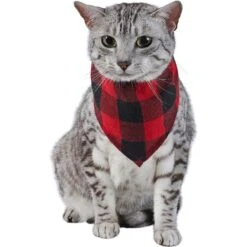 Red Buffalo Plaid Dog & Cat Bandana 13 Red Buffalo Plaid Dog & Cat Bandana -Blue Buffalo Shop 267899 PT3. AC SS1800 V1637727460