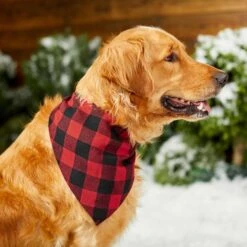 Red Buffalo Plaid Dog & Cat Bandana 15 Red Buffalo Plaid Dog & Cat Bandana -Blue Buffalo Shop 267899 PT5. AC SS1800 V1637666506